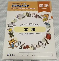 トライ&トライ 国語 文法のサムネイル