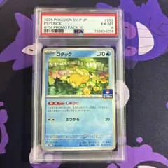 コダック ジムプロモ しめりけ PSA9 - メルカリ