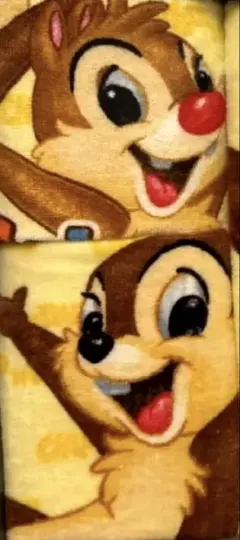 【新品】チップとデール ハンドタオル2枚セット