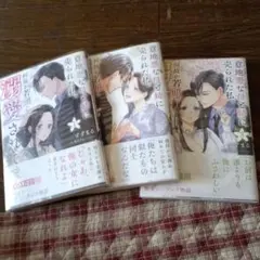 意地悪な母と姉に売られた私。 1〜3巻セット
