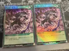 越境の帝王　スーパーレア　2枚セット