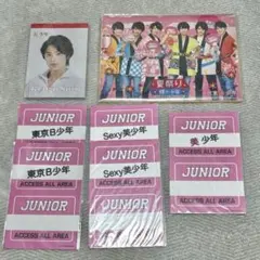 美少年 ステッカー 佐藤龍我 メモ帳セット