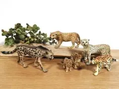 ネコ科の猛獣 6点　シュライヒなど