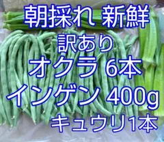 朝採れ 新鮮 インゲン 400g オクラ6本キュウリ1本のサムネイル