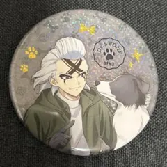 Dr.STONE ウィンドオーケストラコンサート 缶バッジ ゼノ 2個 - メルカリ