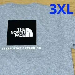 ノースフェイス THE NORTH FACEＴシャツUSモデルグレー3XLタグ付のサムネイル