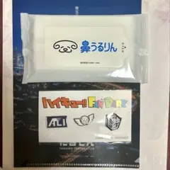 【値下げ】ハイキュー ファンパーク ピンズ ピンバッジ 鼻うるりん たまでん