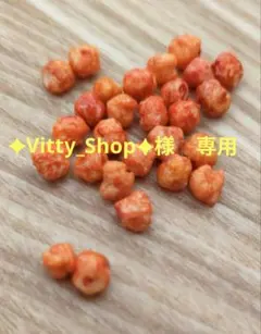 ︎✦︎Vitty︎_Shop✦︎様　専用