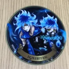 イグニハイド寮  ツイステッドワンダーランド 3Dマグネット