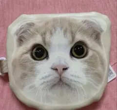 【もちまる日記】ダイカットポーチ　はなまるくん⭐︎のサムネイル