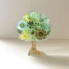 固まるハーバリウム♡ミニうさぎ - メルカリ