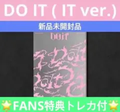 FANS特典トレカ付★straykids ‘DOIT’ (IT VER.)