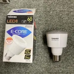 TOSHIBA LEDユニット LEEU-2503L2-03 2個セット - メルカリ