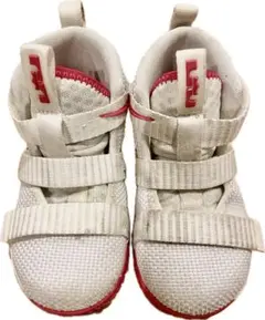 Item thumbnail for item 09035907-7136-4946-b5c1-767fece371fd