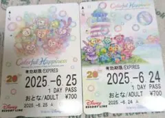 ダッフィディズニーリゾートラインフリーきっぷ 2枚セット使用済み