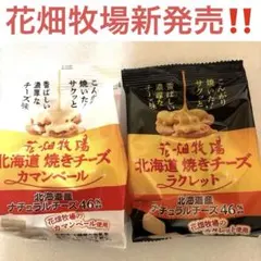 2026年最新】花畑牧場 ラクレット チーズの人気アイテム - メルカリ