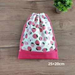 （No.239）ハンドメイド【25×20】給食袋　コップ袋