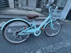 M12【大阪堺市/引取】中古ミニサイクル ルイガノ EASEL7.0 20インチ