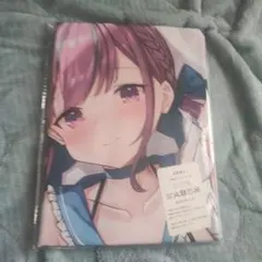 2026年最新】ホロライブ抱き枕の人気アイテム - メルカリ