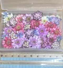 ハンドメイド 花材 ドライフラワー 小花 紫陽花 35枚+α ③ - メルカリ