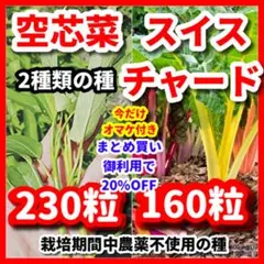 さおりん様 リクエスト 2点 まとめ商品