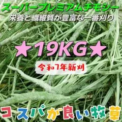 ★SPチモシー1番刈 19kg ◼︎小動物 ペットフード 牧草 うさぎ おやつのサムネイル