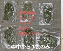 Item thumbnail for item 574a363e-2220-4892-8564-e825d3e61629