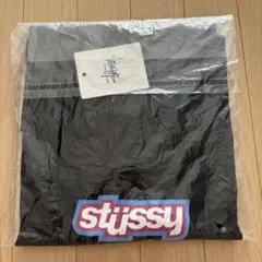 Stüssy 黒 Tシャツ 未使用