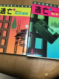 逃亡　上下２冊まとめて