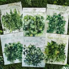 【同梱価格700円】　リーフPETシール　6種セット　コラージュ素材