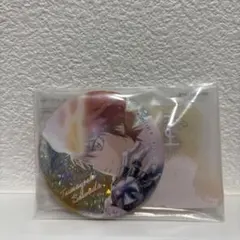 家庭教師ヒットマンREBORN! 缶バッジ 沢田綱吉