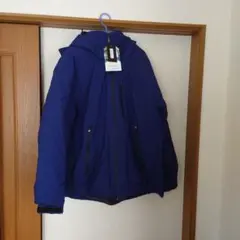 Item thumbnail for item 433eb81d-e77b-4693-9da0-d273e2bf23c8