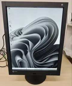 EIZO RadiForce GX540 5MP モノクロ 医用モニター