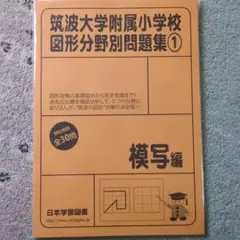 筑波大学附属小学校 図形分野別問題集1 模写