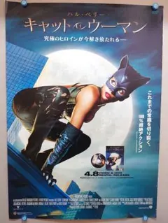 ○キャットウーマン ホライゾン ガレージキット フィギュア ソフビ