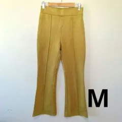 Item thumbnail for item aeefa5fb-37c0-4ace-8542-be666ae55a64