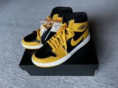 US7 25cm Nike Air Jordan 1 High Golf ポラン