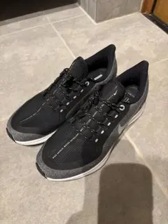 Item thumbnail for item 6daffd23-6b0e-448a-8539-8a860fd1701c