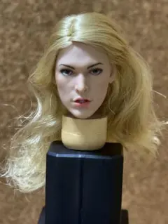 1/6 女性フィギュア用 ヘッド 植毛タイプ　10