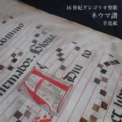 ピック無し開花堂YIジュエリーケース小サカナクション山口一郎 - メルカリ