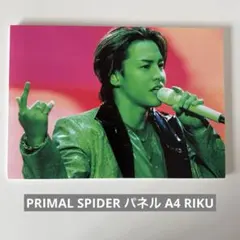 THERAMPAGE RIKU タワレコパネル - メルカリ