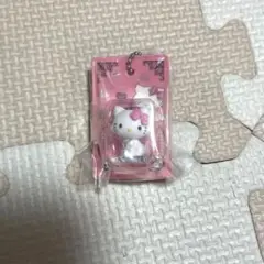 ハローキティ パッケージ ミニチュアコレクション　ガチャ　チャーミーキティ
