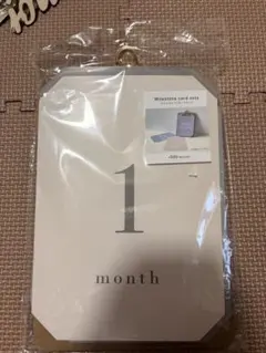 マイルストーンカードセット