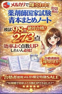 薬剤師国家試験対策 まとめノート 全科目セット 薬学部 薬剤師国家試験 まとめノート - メルカリ