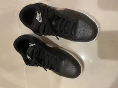 Item thumbnail for item 760b6f33-fc1a-4627-a390-23cc1d2bf43e