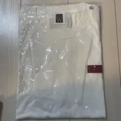 チャゲアス ミュージシャン