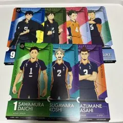 Item thumbnail for item 5d548ac7-57a6-4294-a9dd-4169e21005d7