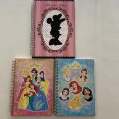 ミニーマウス＆ディズニープリンセス ノート3冊セット