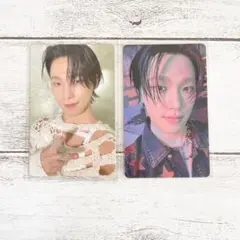 ディノ　トレカ2枚セット【送料無料】