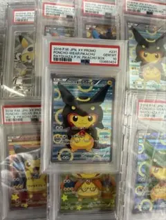 ポンチョを着たピカチュウ 黒レックウザのサムネイル